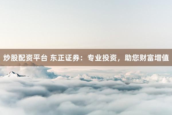 炒股配资平台 东正证券：专业投资，助您财富增值