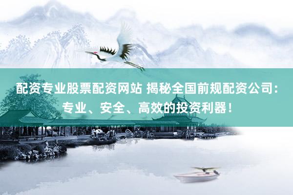配资专业股票配资网站 揭秘全国前规配资公司：专业、安全、高效的投资利器！