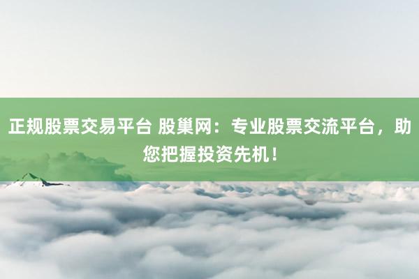 正规股票交易平台 股巢网：专业股票交流平台，助您把握投资先机！