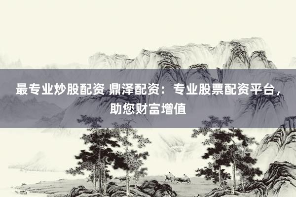 最专业炒股配资 鼎泽配资：专业股票配资平台，助您财富增值
