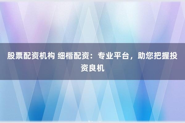 股票配资机构 细楷配资：专业平台，助您把握投资良机