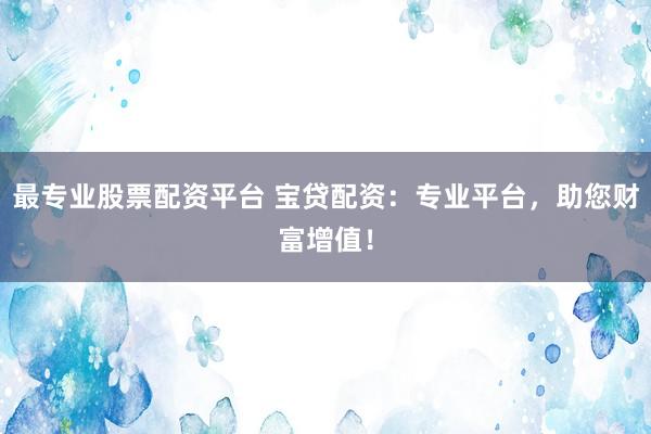 最专业股票配资平台 宝贷配资：专业平台，助您财富增值！