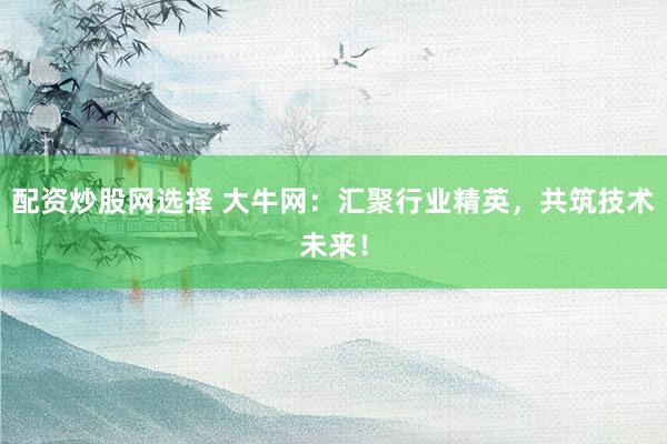 配资炒股网选择 大牛网：汇聚行业精英，共筑技术未来！