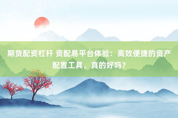 期货配资杠杆 资配易平台体验:高效便捷的资产配置工具,真的好吗?