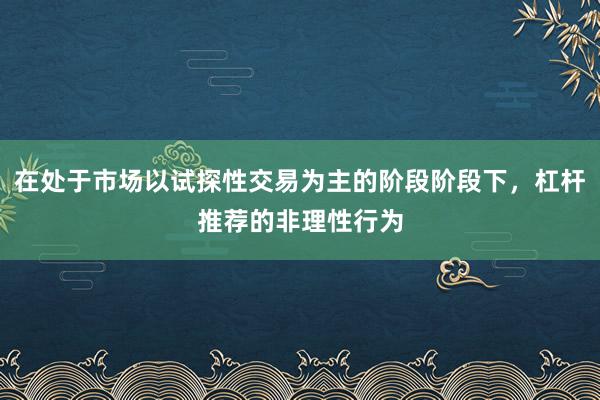 在处于市场以试探性交易为主的阶段阶段下,杠杆推荐的非理性行为