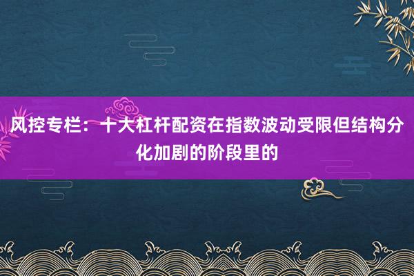 风控专栏：十大杠杆配资在指数波动受限但结构分化加剧的阶段里的
