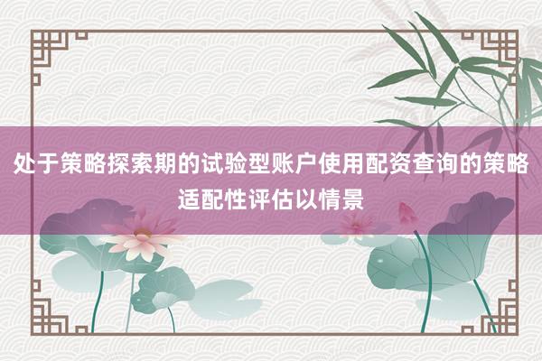 处于策略探索期的试验型账户使用配资查询的策略适配性评估以情景