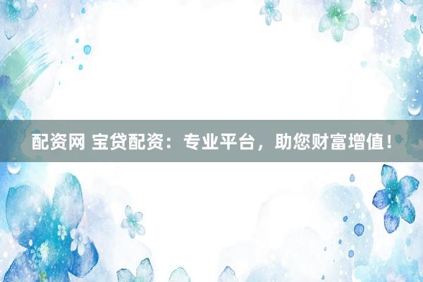 配资网 宝贷配资：专业平台，助您财富增值！