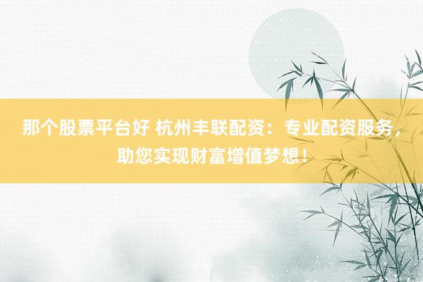那个股票平台好 杭州丰联配资：专业配资服务，助您实现财富增值梦想！